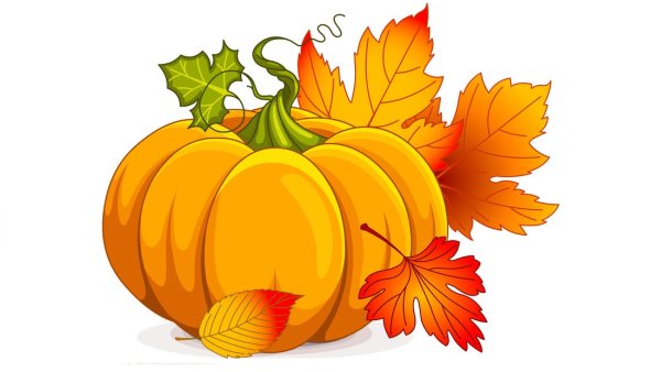 Тыква картинка для детей