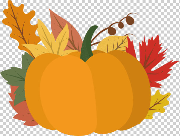 Тыковка вектор