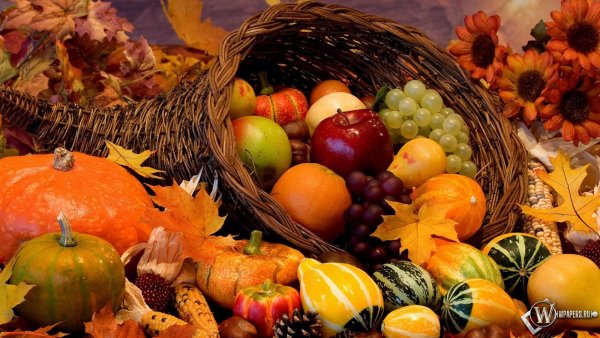 Равноденствие МАБОН