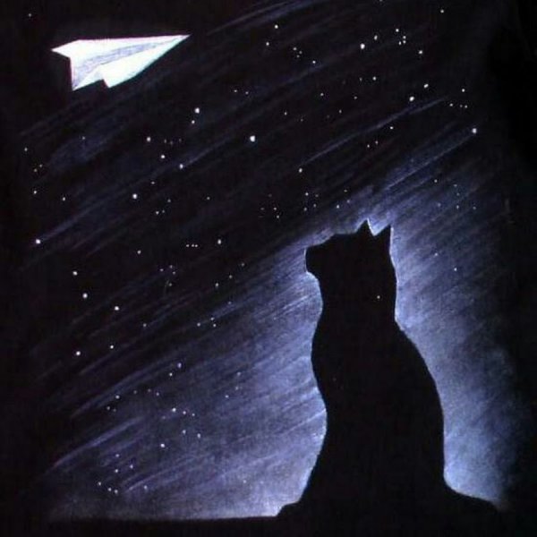 Одинокий кот