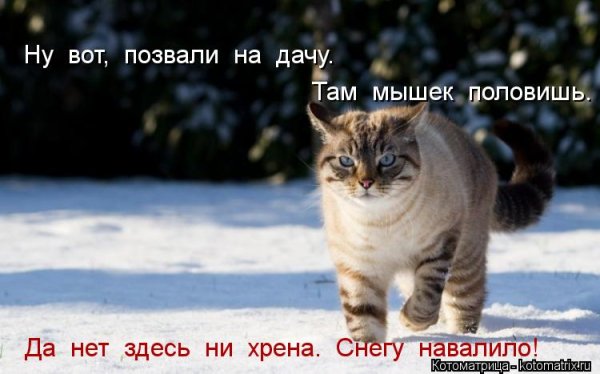 Снега навалило