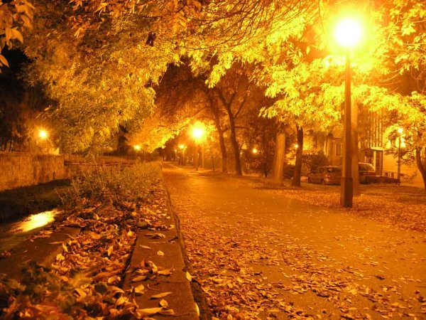 Осень ночь город