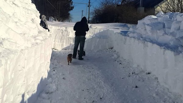 Снега навалило