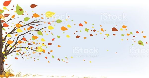 Дует ветер на осеннее дерево