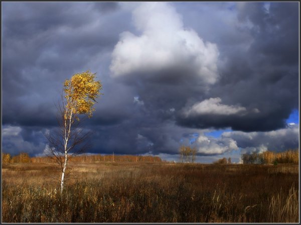 Осень дождь ветер