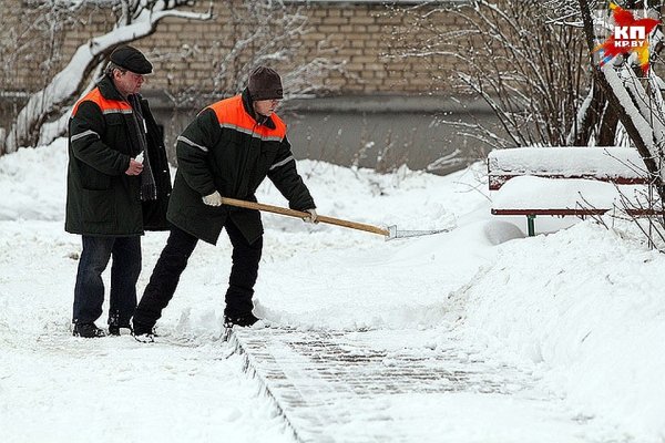 Дворник зима