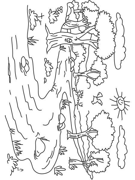 Осенний лес раскраска для детей