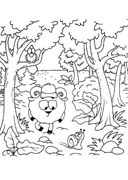 Раскраска осенний лес