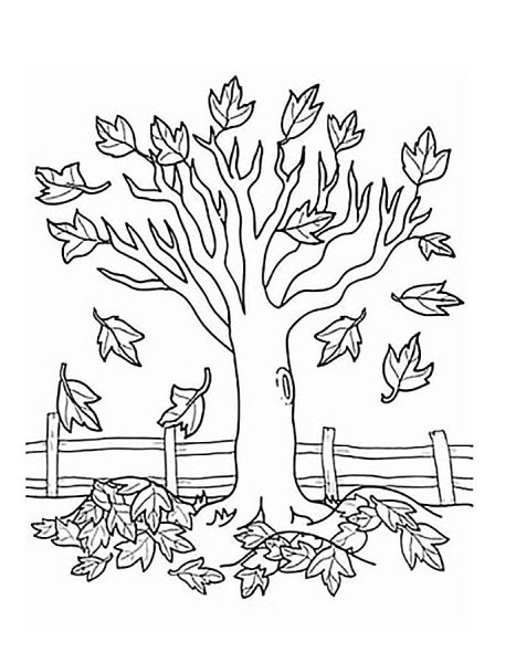 Осень раскраска для детей