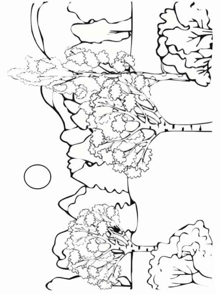 Раскраска осенний лес