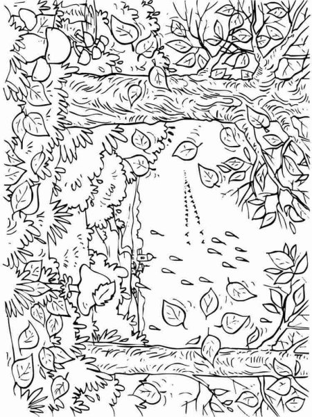 Раскраска осенний лес для взрослых