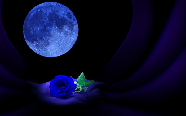 Луна и цветы