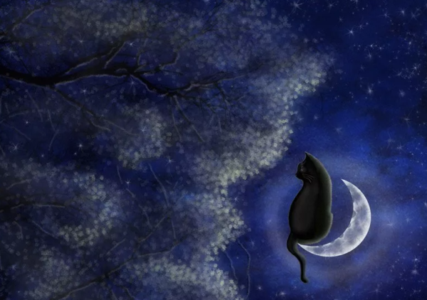 Спокойной ночи Луна