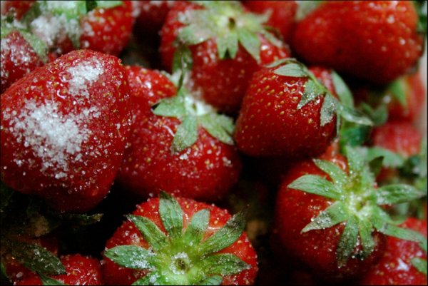 Клубника в снегу