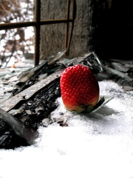 Зимняя клубника