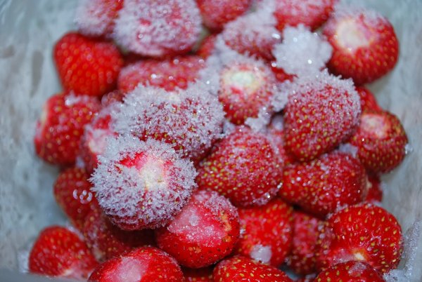 Клубника в снегу