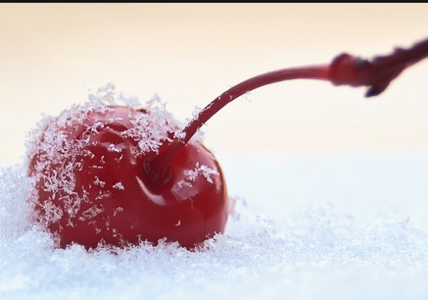 Вишня вишня зимняя