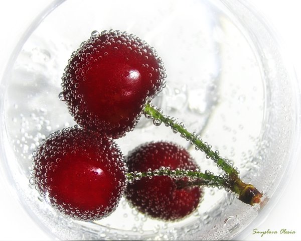 Черешня в каплях