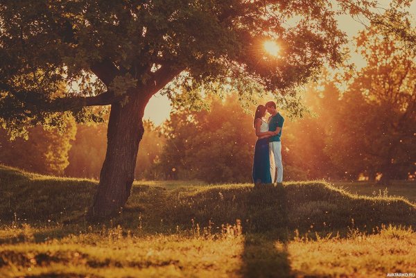 Влюбленные в лесу