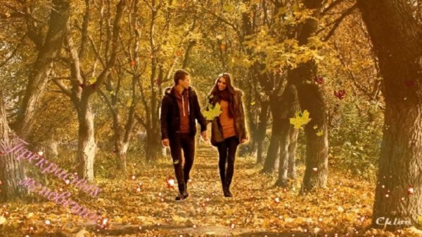 Гулять по парку