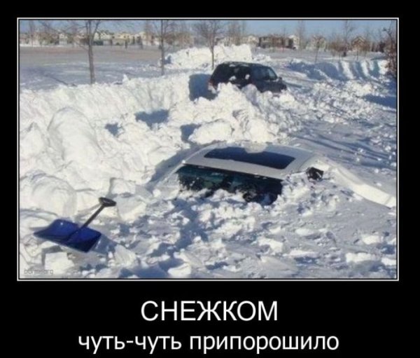 Приколы про снег
