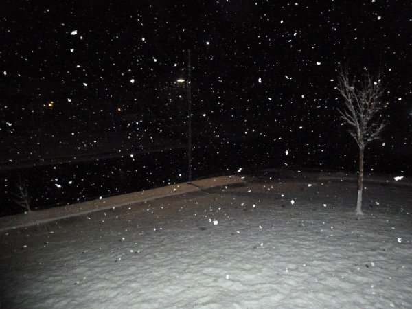 Снег ночью