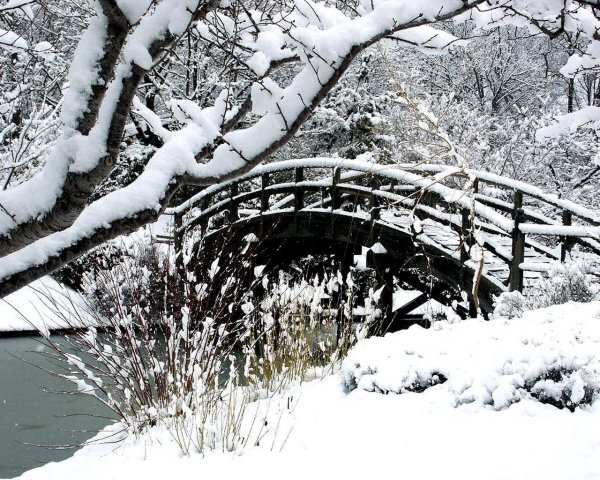 Зимний пейзаж с мостом