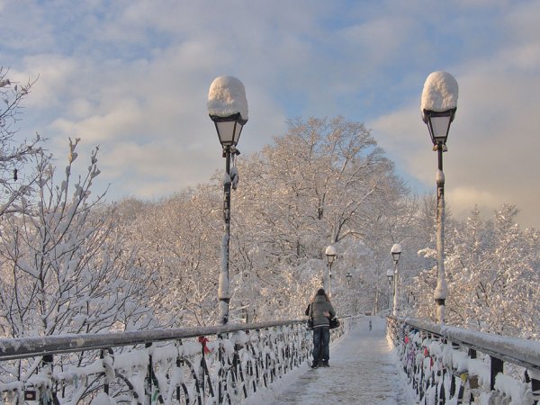 Зимний парк с фонарным столбом