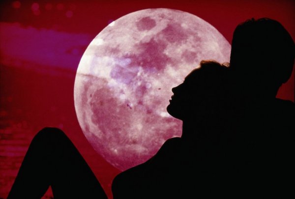 Пара на фоне Луны