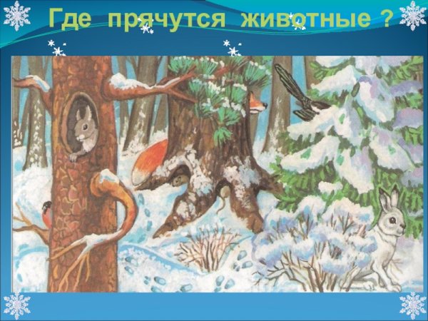 Где прячутся животные