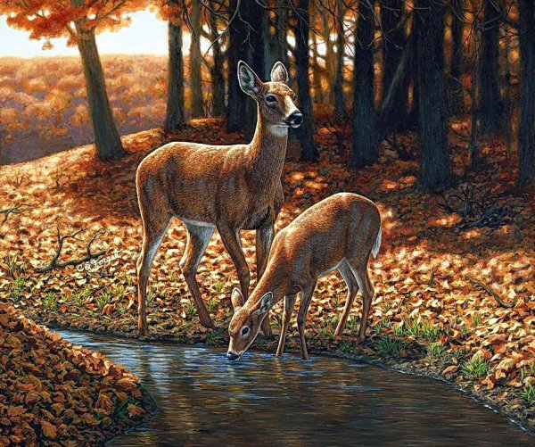 Американская художница Crista Forest