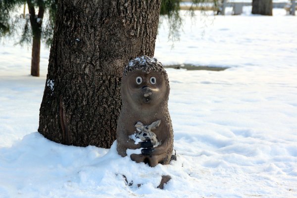 Ежик в снегу