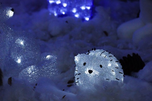 Зимняя сказка