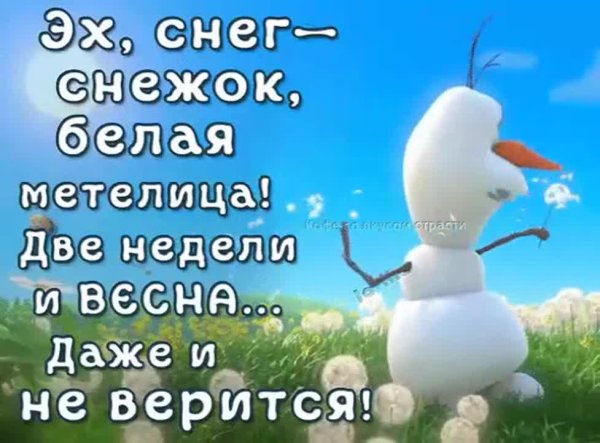 Снег снежок белая