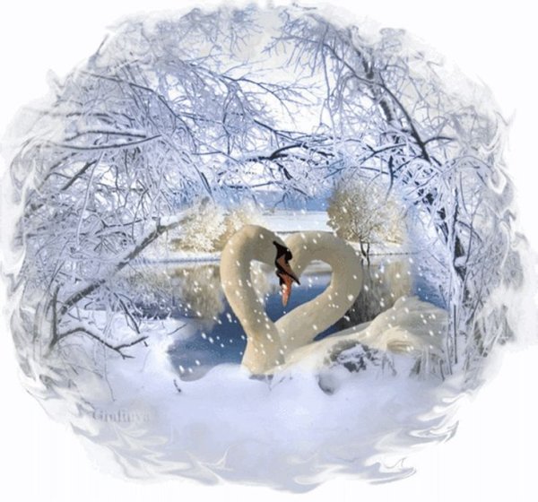 Зимняя сказка любовь