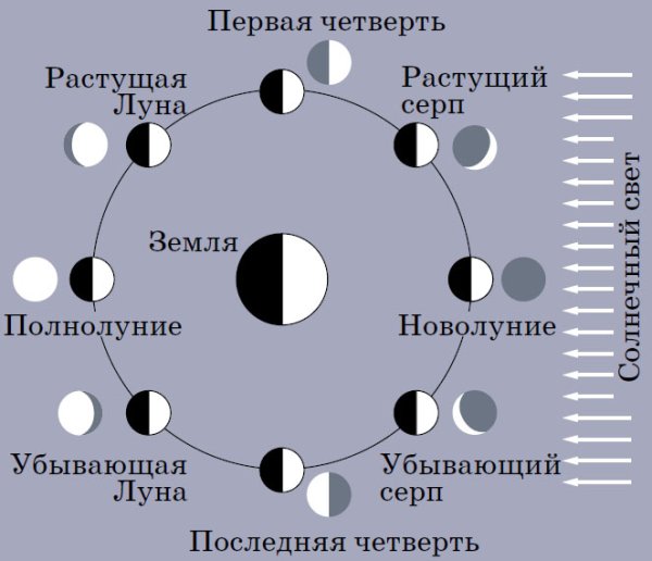 Фазы Луны с названиями