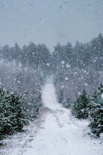 Падающий снег