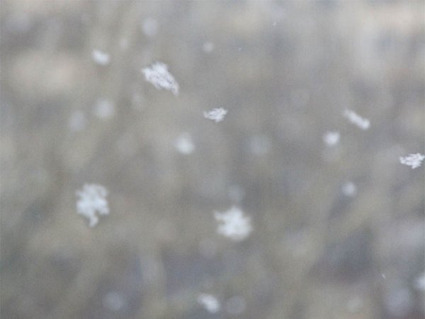 Крупные хлопья снега