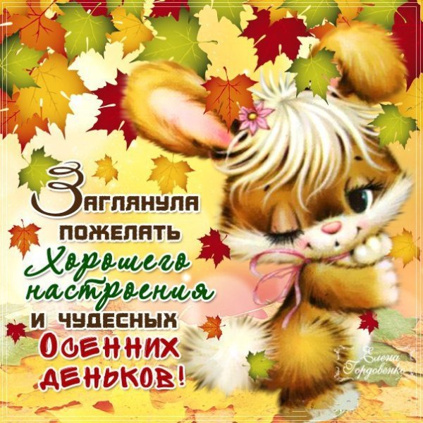 Доброго осеннего воскресенья