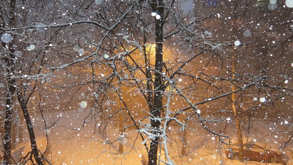 Падает снег за окном