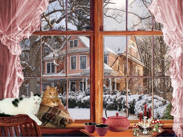 Зимнее окно