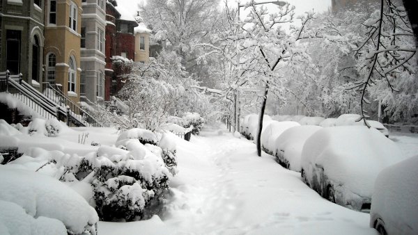 Заснеженный город