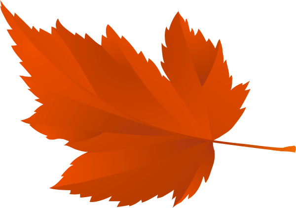 Осенние листочки