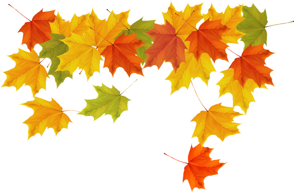 Осенние листья на прозрачном фоне