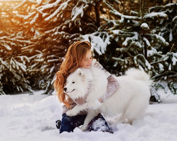 Фотосессия с собакой зимой