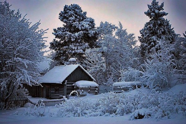 Зимний лес в деревне