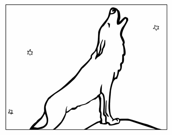Волк на скале раскраска