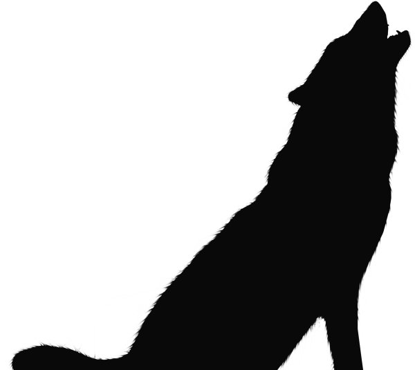 Силуэт воющего волка