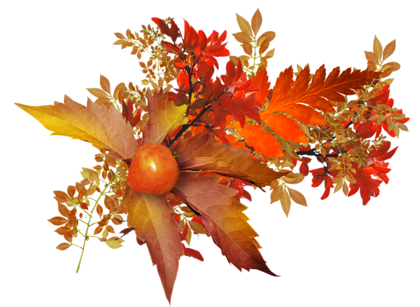 Букет осенних листьев