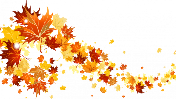 Осенние листья